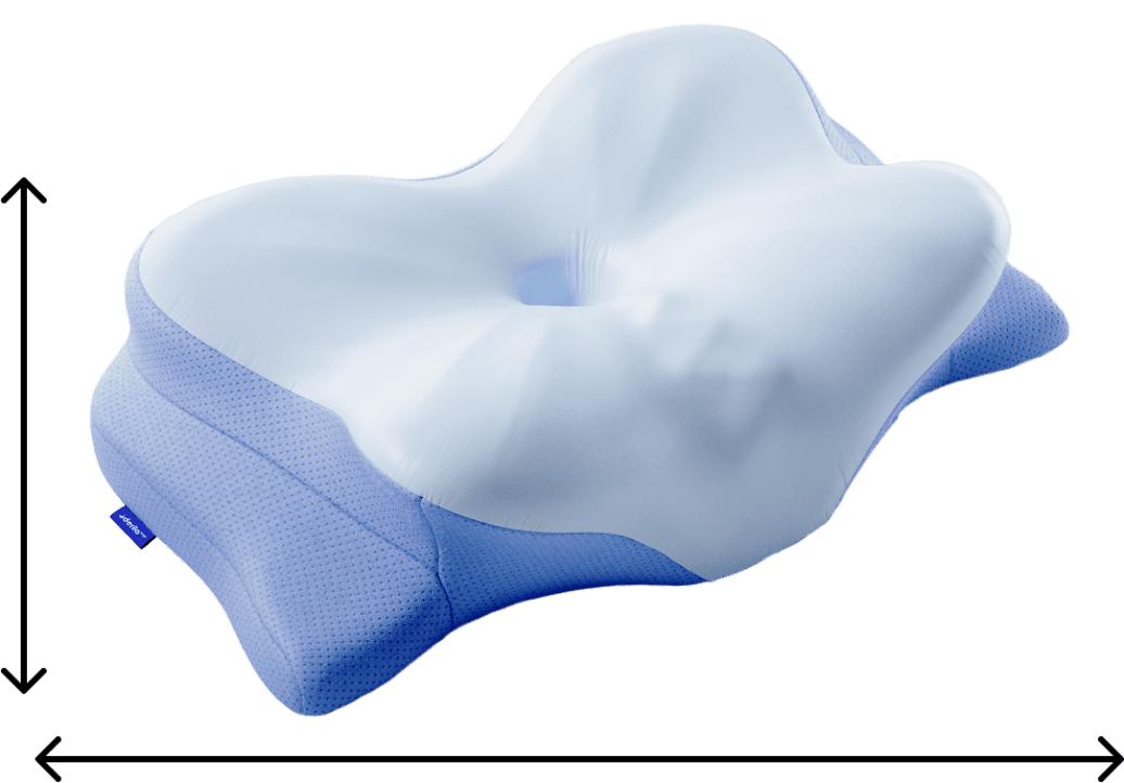 Derila Ergo Pillow buy now